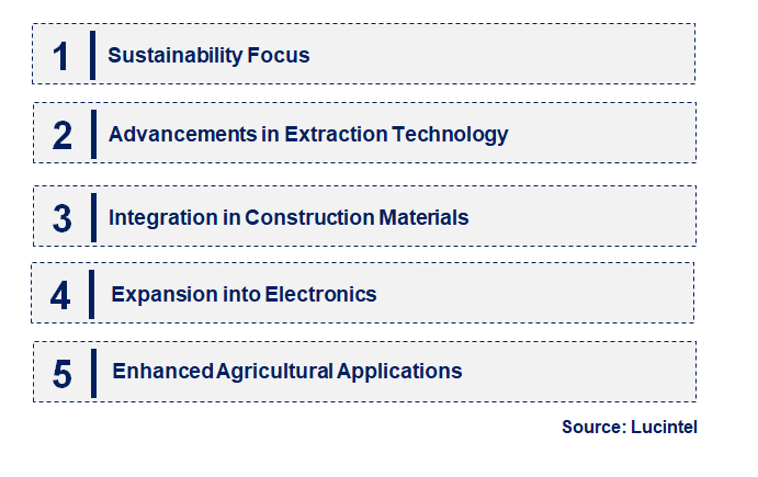 Emerging Trends in the Rice Husk Silica Market